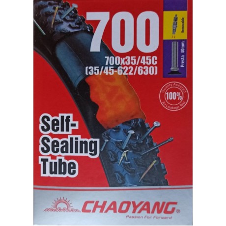 ChaoYang Camera d'aria  Antiforatura Autosigillante 700x35/45 Valvola 40mm removibile
