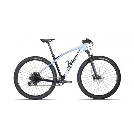Olympia Iron 29 Pro Shimano 12v Rock Shox Sid SL Select Grigio